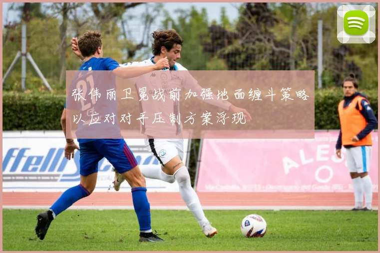 张伟丽卫冕战前加强地面缠斗策略以应对对手压制方案浮现