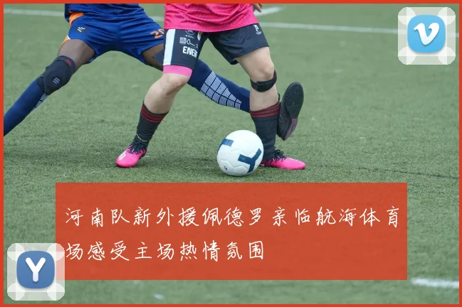 河南队新外援佩德罗亲临航海体育场感受主场热情氛围