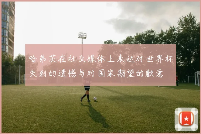 哈弗茨在社交媒体上表达对世界杯失利的遗憾与对国家期望的歉意