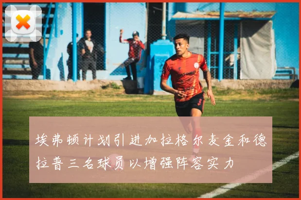 埃弗顿计划引进加拉格尔麦金和德拉普三名球员以增强阵容实力